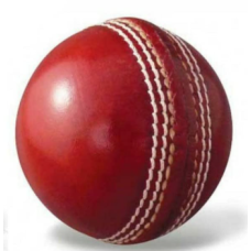 AP Leather ball - club